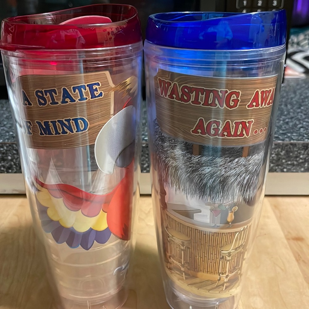Margaritaville double wall insulated tumblers, set of 2, 26 ounce capacity